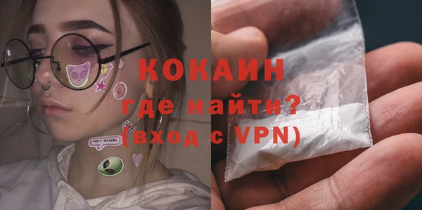 гидра Новозыбков