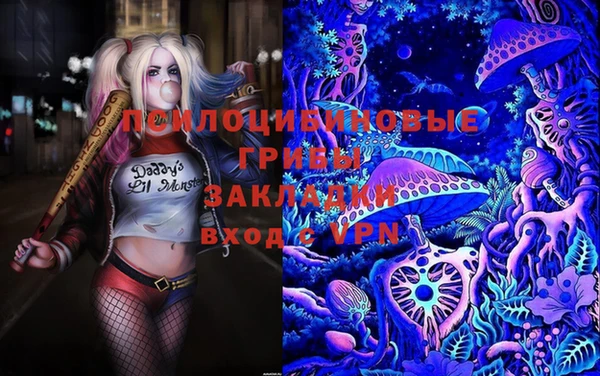 ECSTASY Абаза