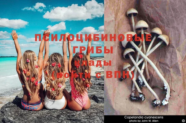 прущий лед Абдулино