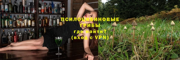 дмт Алексин