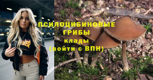 ECSTASY Абаза